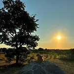 Podere L'alfina - Bio