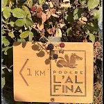 Podere L'alfina - Bio 4* Castel Giorgio