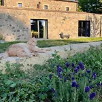 Podere L'alfina - Bio Castel Giorgio