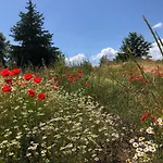 Panzió Podere L'alfina - Bio
