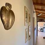 Podere L'alfina - Bio Castel Giorgio