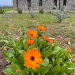 Podere L'alfina - Bio Frühstückspension