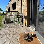 Podere L'alfina - Bio Panzió