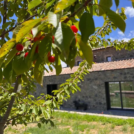 Podere L'alfina - Bio 4* Castel Giorgio