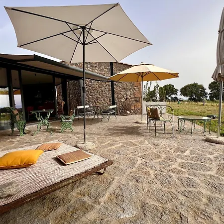 Podere L'alfina - Bio Bed and Breakfast Castel Giorgio