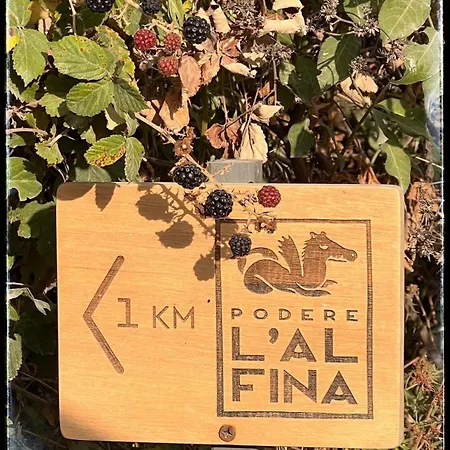 Podere L'alfina - Bio 4* Castel Giorgio