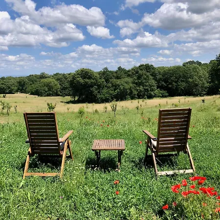 Podere L'alfina Bio Bed & Breakfast *