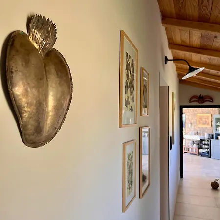 Podere L'alfina - Bio Castel Giorgio