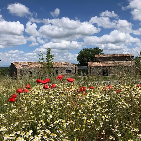 Podere L'alfina - Bio 4*