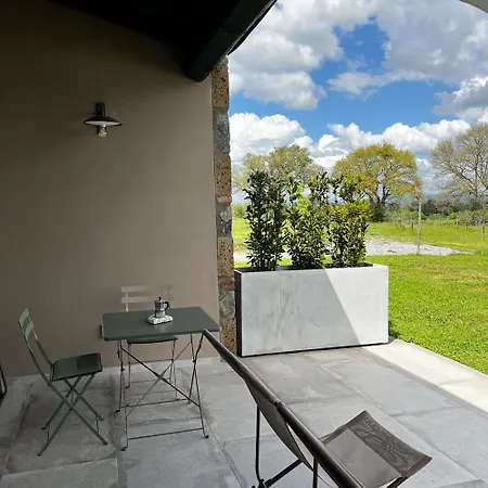 Podere L'alfina - Bio Castel Giorgio