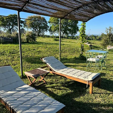 Podere L'alfina - Bio Nocleg ze śniadaniem 4*