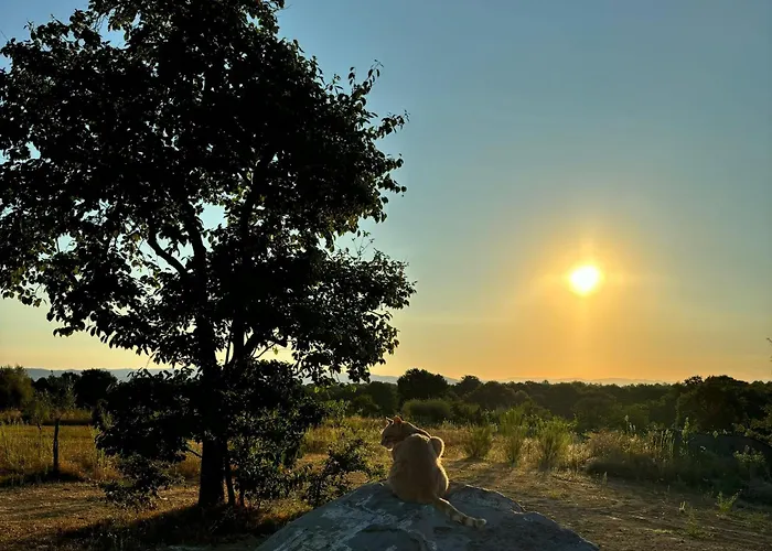 Podere L'alfina - Bio
